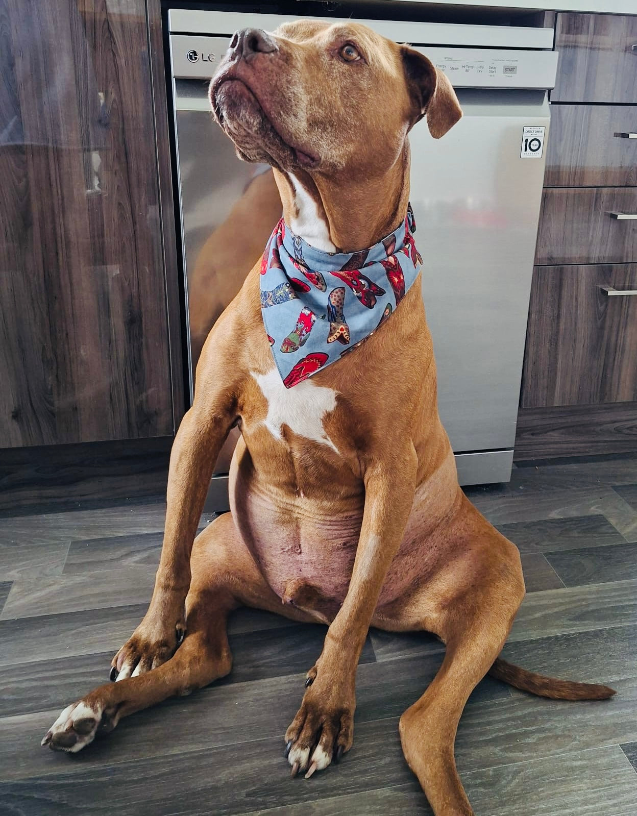 Dog Scrunchie Style Bandanas